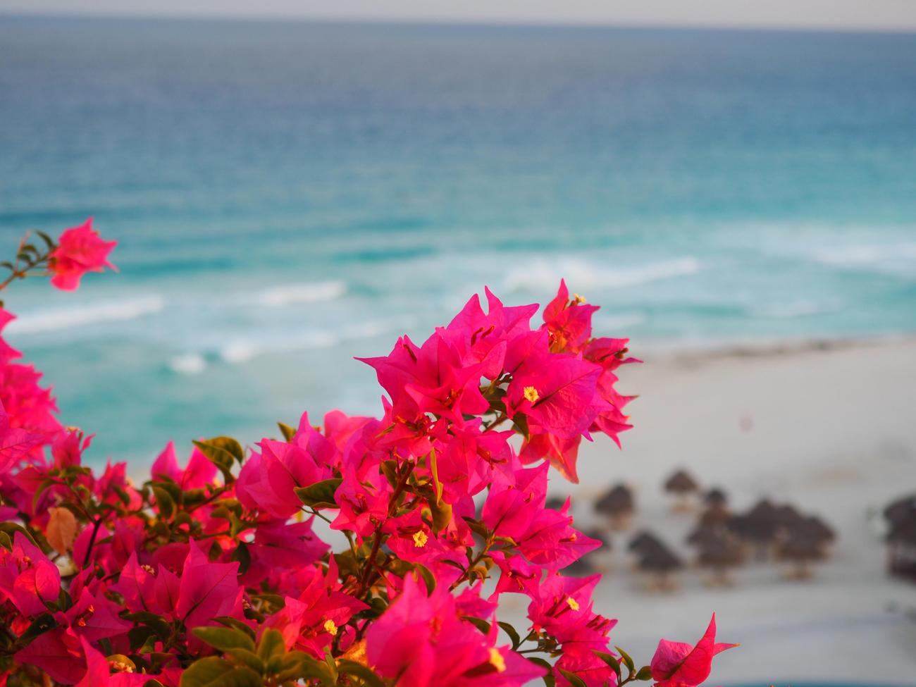 Cancun's Breathtaking Natural Wonders: A Tropical Paradise Unveiled