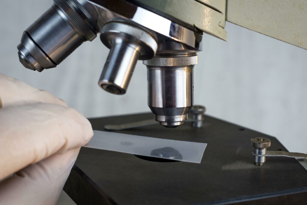 Exploring the Wonders of Microscope Usage in Biology Insights from a