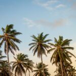 surf-techniques_featured
