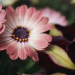 sustainable-landscaping-practices_featured