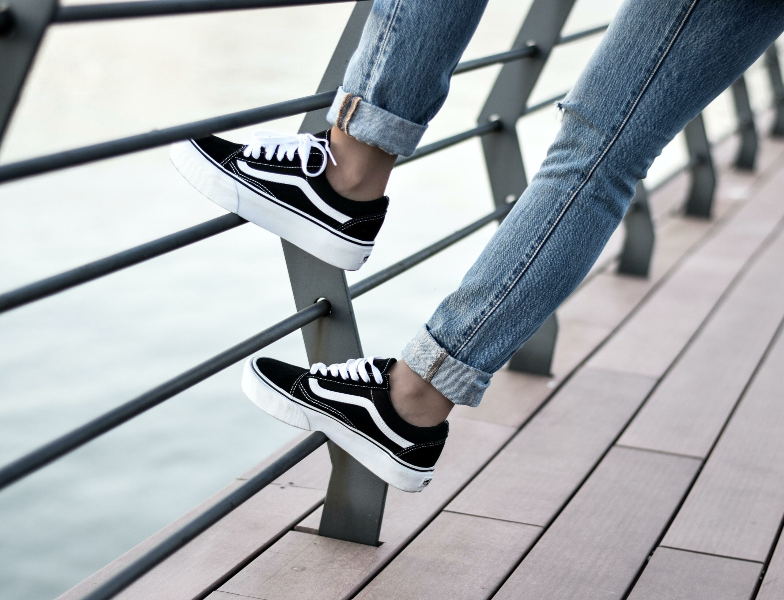 turkish vans facts