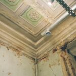 10-facts-about-mold_featured