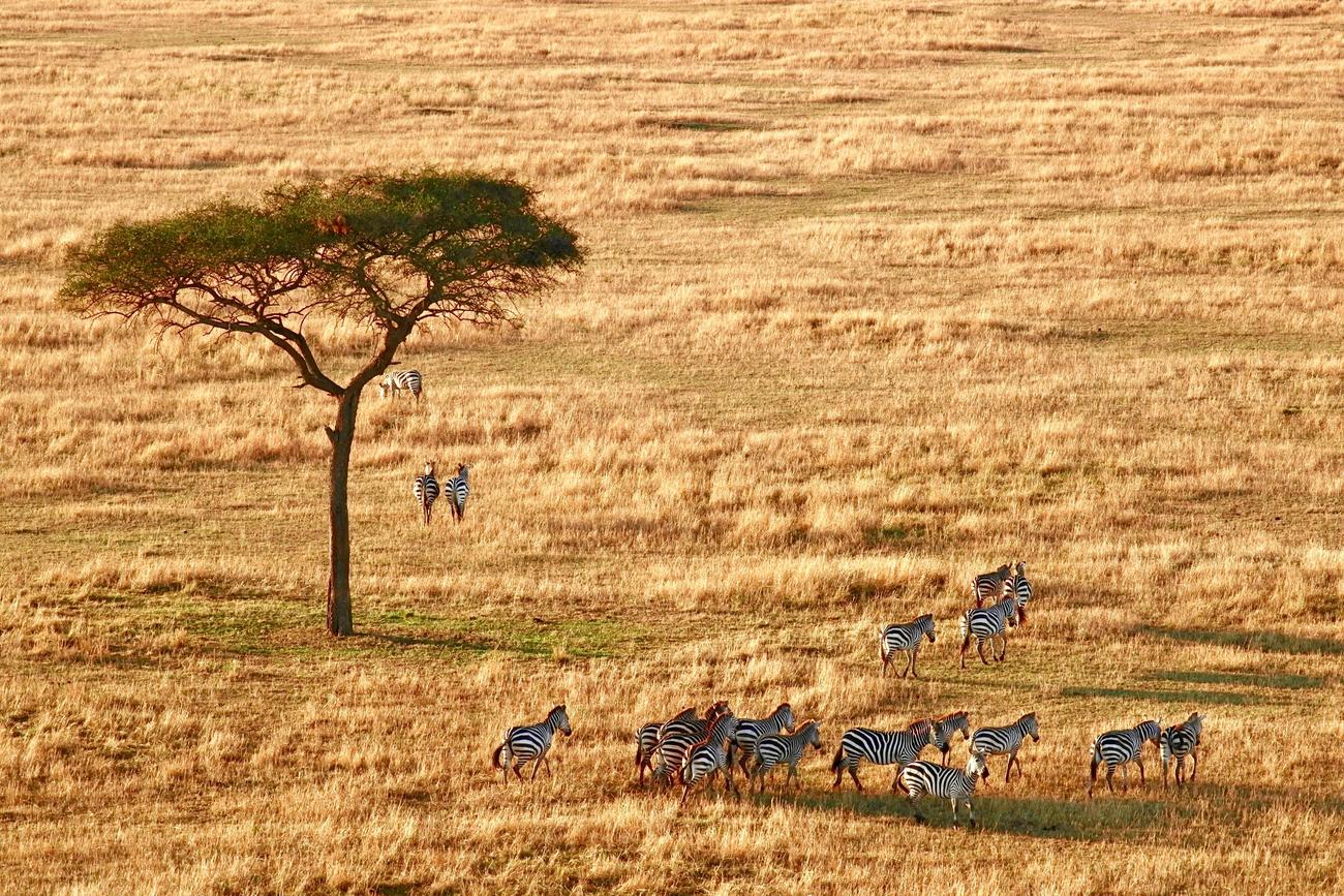 10 facts about tanzania