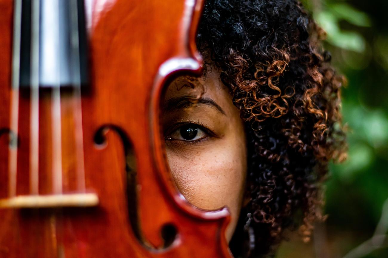 10 facts about the violin