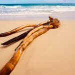 25-interesting-facts-about-panama_featured