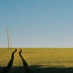 3-facts-about-cotton_featured
