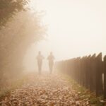 3-facts-about-cottonwood_featured