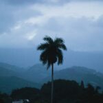 3-interesting-facts-about-the-dominican-republic_featured