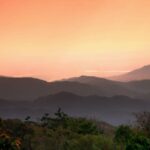 5-Facts-About-Malawi-Animals_featured-1