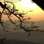 5-Facts-About-Malawi-Language_featured