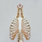 Captivating-Lumbar-Spine-Facts_featured