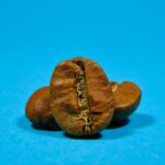 Did-you-know-facts-about-scents-_featured