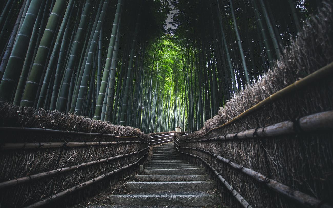 Eco friendly properties of bamboo