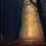 Fascinating-secrets-of-Malawi-revealed_featured