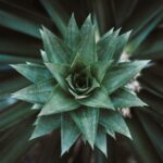 Fascinating-spinal-curvatures_featured