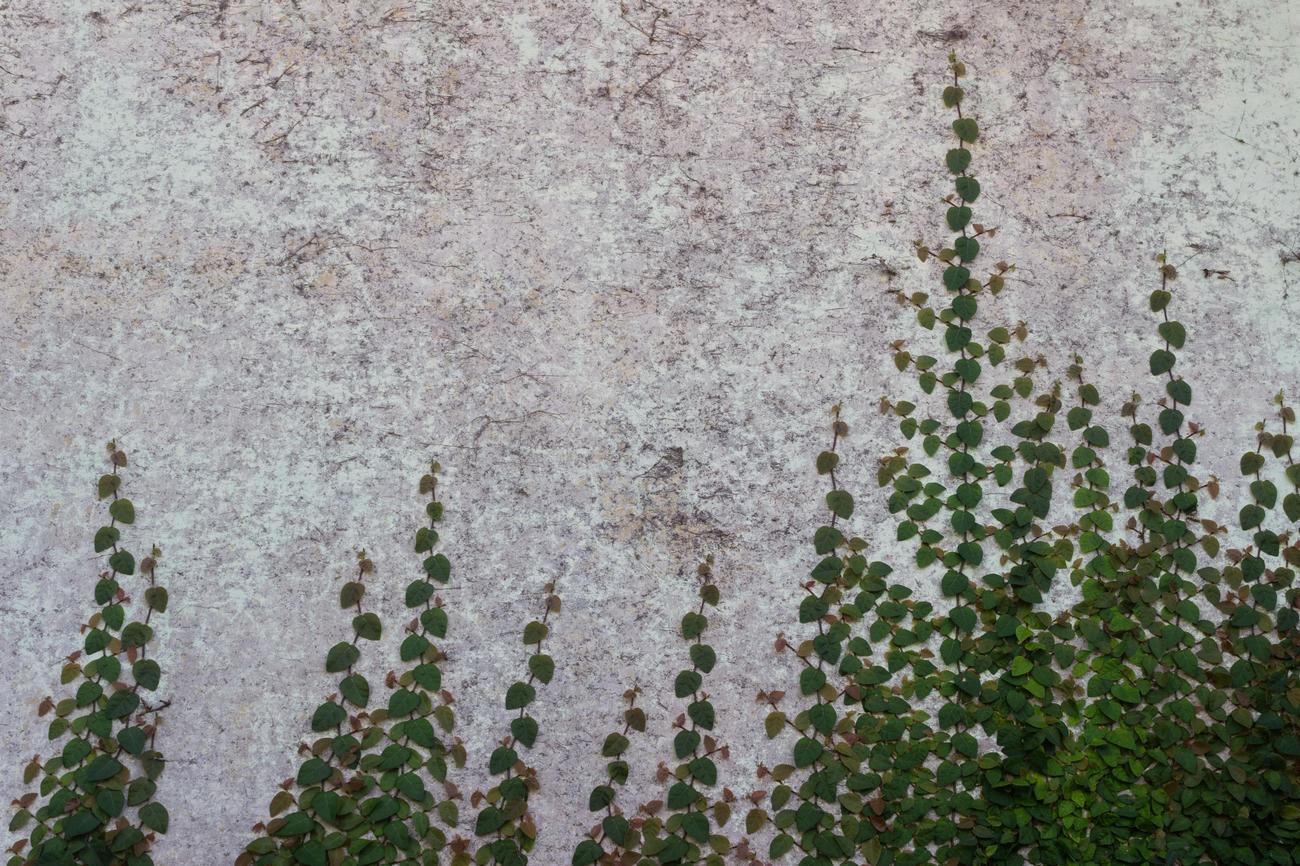 Fun Facts About Granite Stone