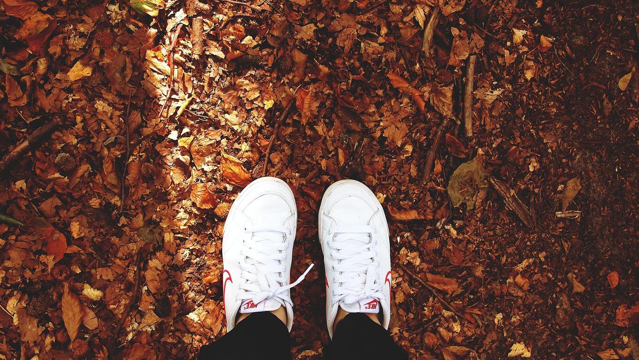 Gross Facts About Feet