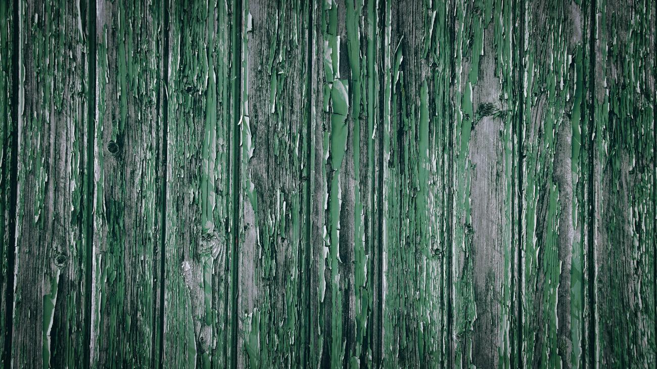 How Fast Does Bamboo Grow