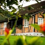 How-Many-Termites-Are-In-A-Colony_featured