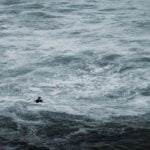 How-long-do-most-foster-parents-last-_featured