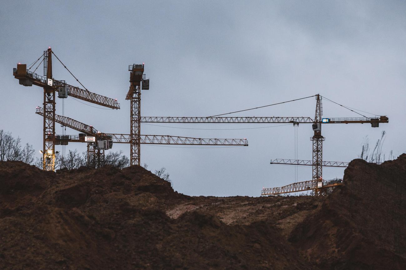 How many cranes are in the world
