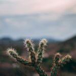 Intriguing-Lumbar-Spine-Truths_featured