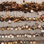 Is-it-OK-to-be-scared-of-cockroaches-_featured