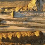 List-9-Important-Of-Termite_featured