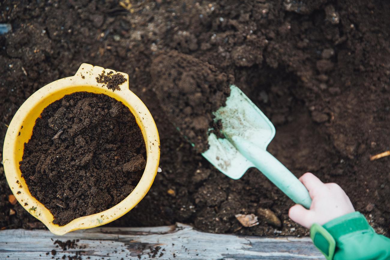 Origins of composting