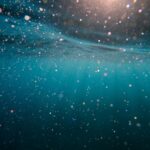 Role-of-bubbles-in-natural-ecosystems_featured