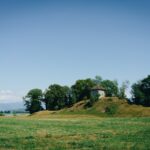 Termite-Mound-Facts_featured