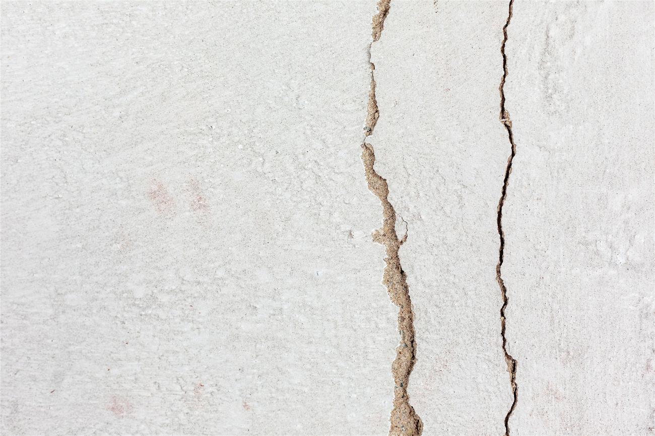 Uncovering the secrets of termite communication
