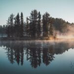 Versatility-of-bamboo_featured