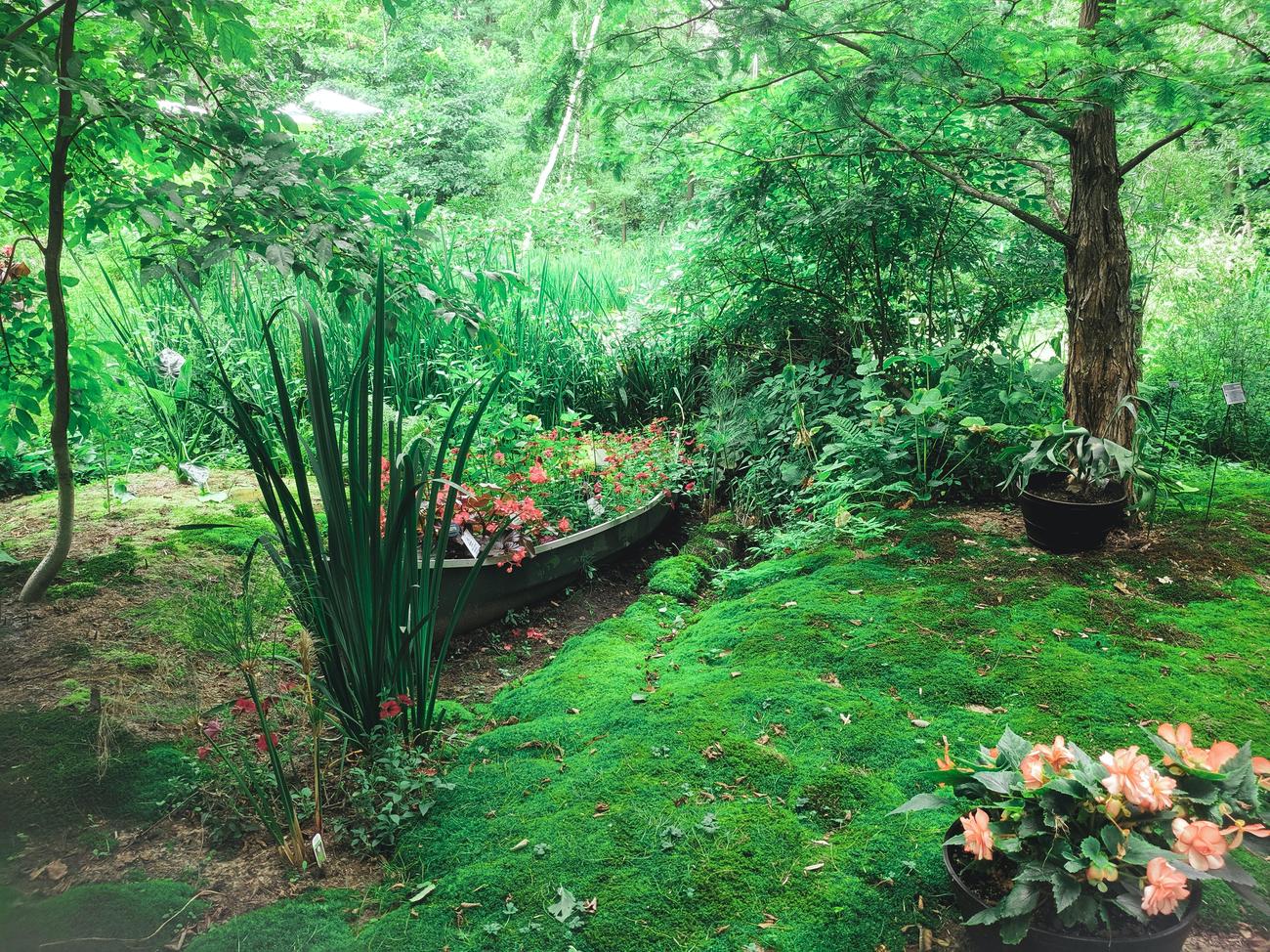 What Can Be Composted