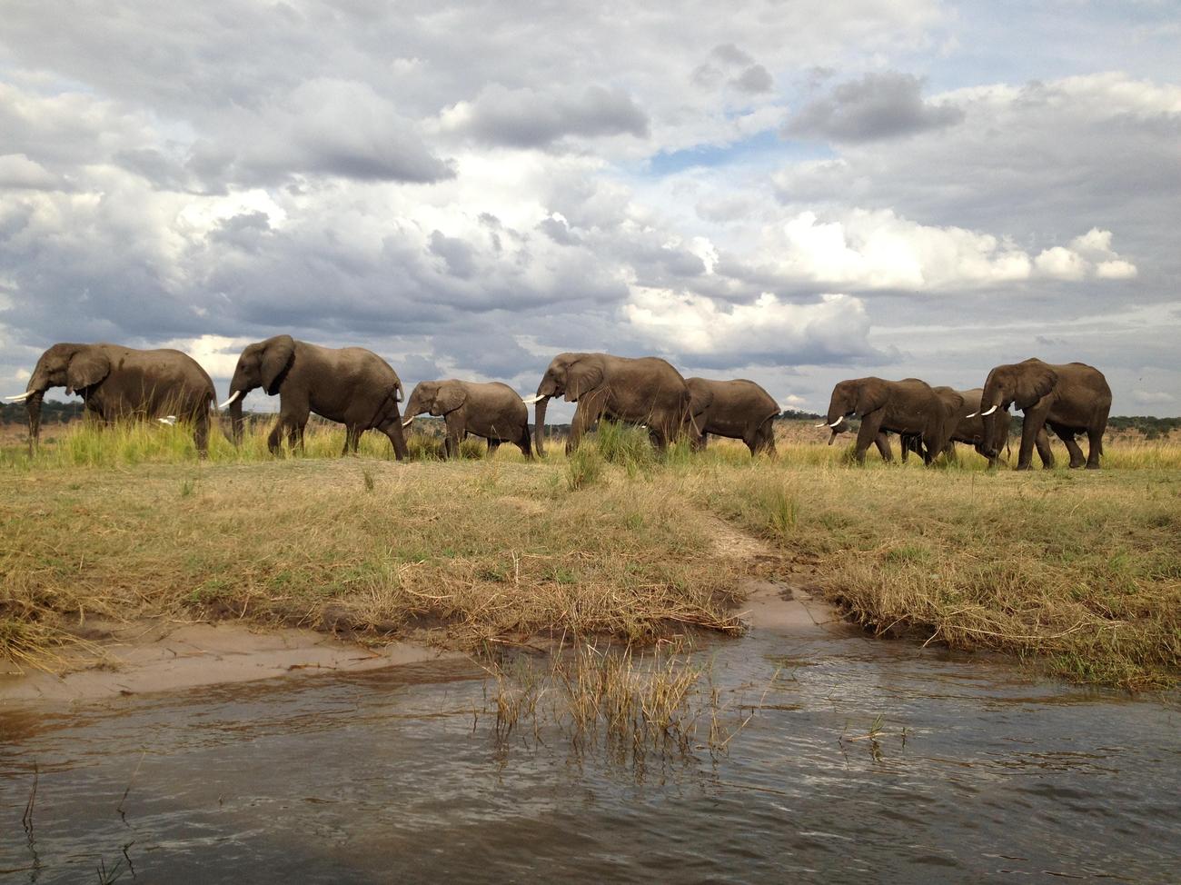 What are 2 fun facts about Botswana 