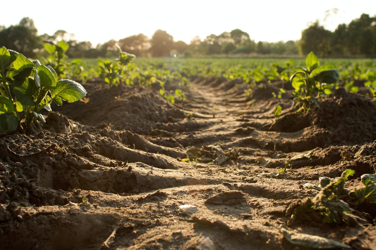 What are 3 benefits of compost