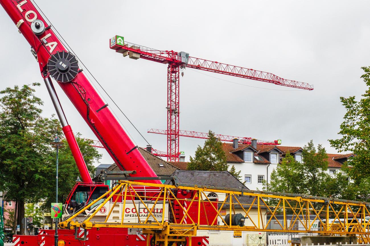 What are few words about cranes
