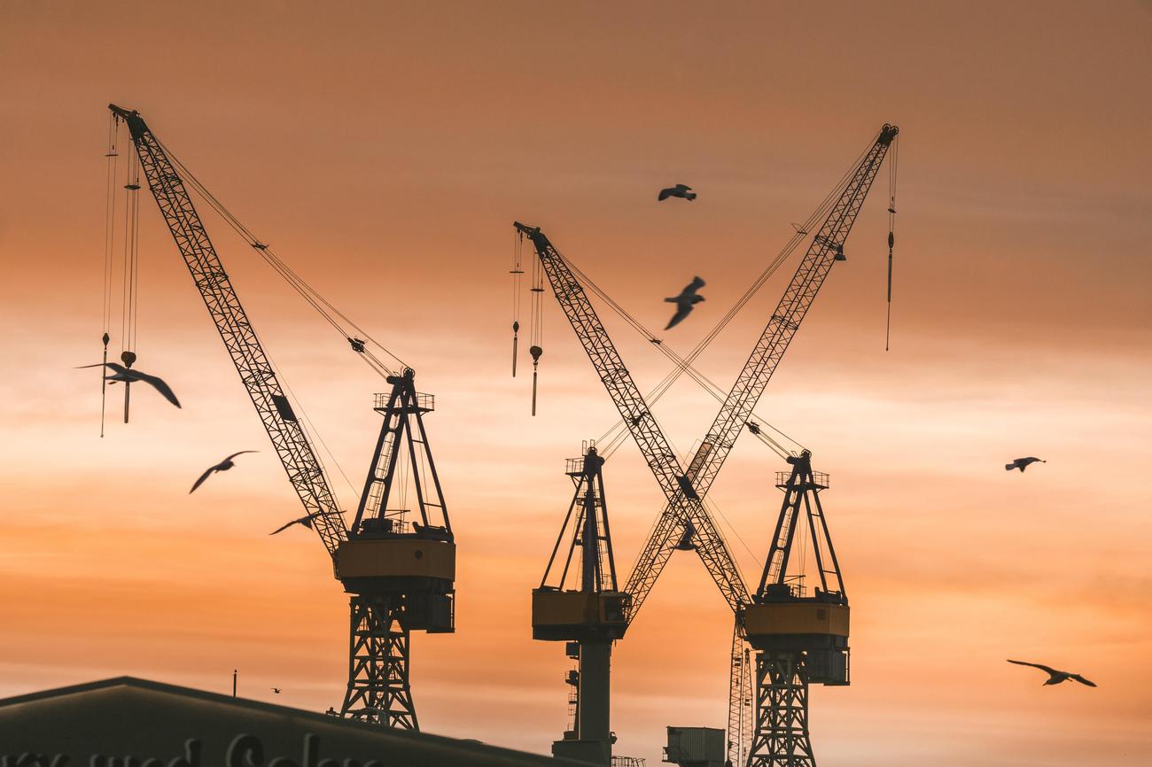 What is a crane for kids
