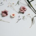 What-is-the-main-idea-of-perfume-_featured
