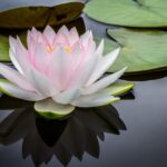 Why-do-people-love-massages-_featured
