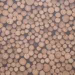 Why-is-compost-called-compost-_featured