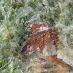 Why-is-dry-ice-illegal-_featured