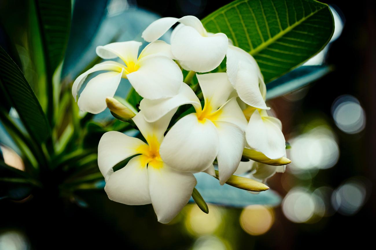 Why massage is so intimate