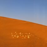 adolf-hitler-namibia_featured
