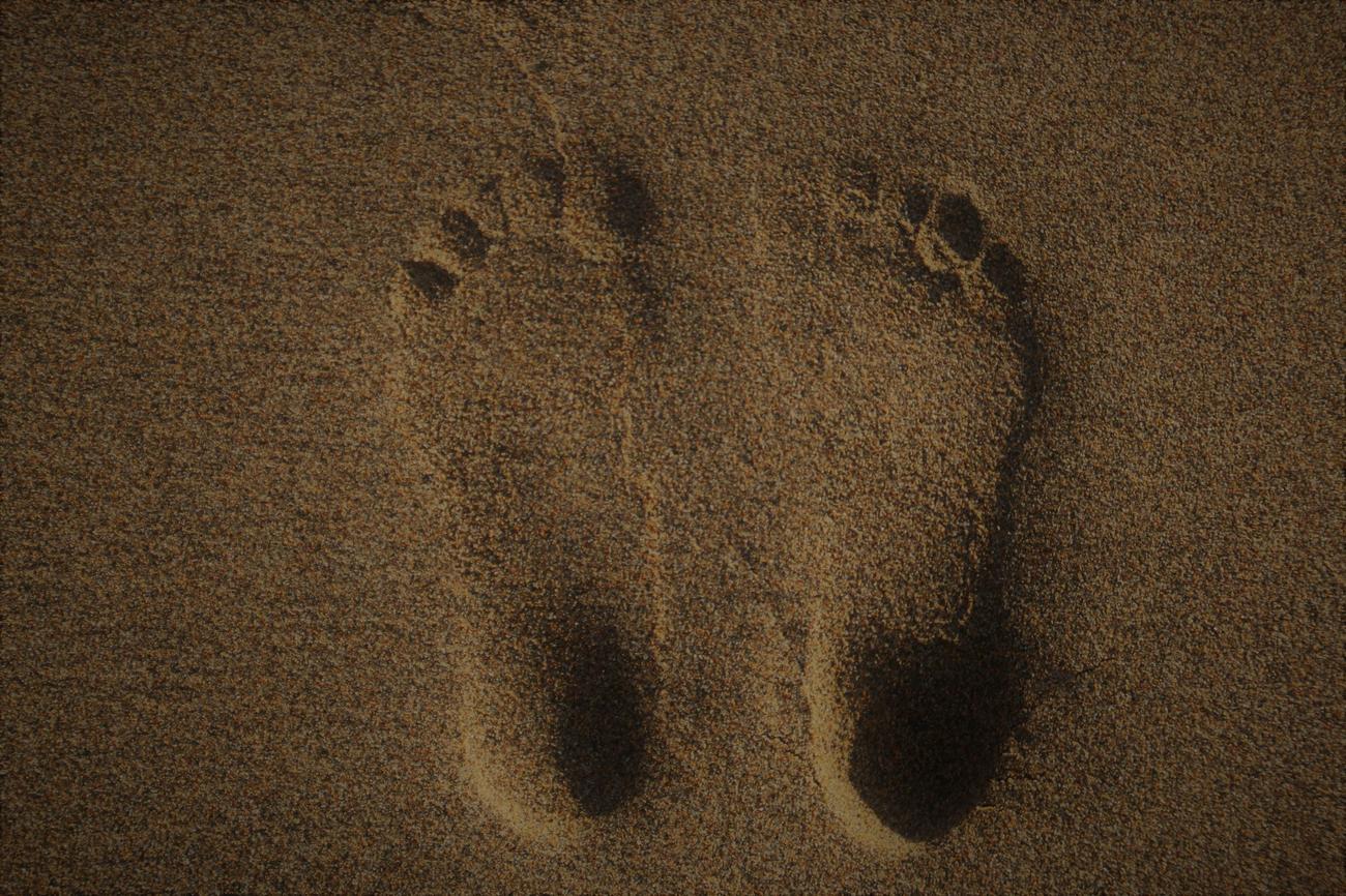 amazing facts about feet