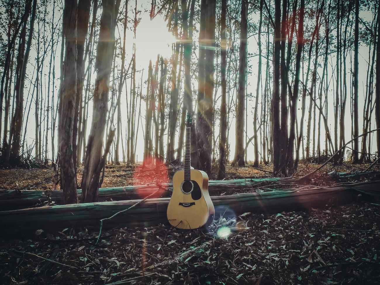 amazing guitar facts