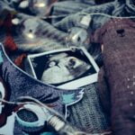 animal-ultrasound-technicians_featured