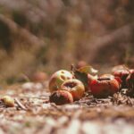 benefits-of-composting_featured