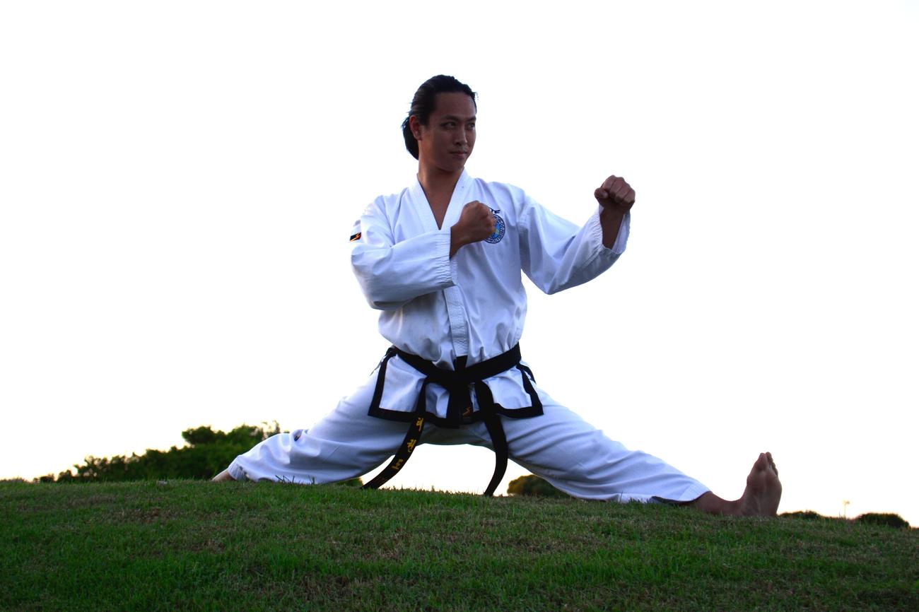 benefits of taekwondo training