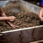 compost-bin-types_featured